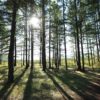 So erholsam ist Urlaub im Teutoburger Wald – Inklusive Insider Tipps