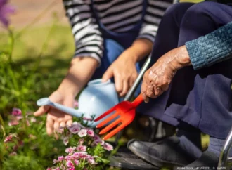 Rentnerhilfe als Beruf: Eine lohnende Aufgabe mit sozialem Mehrwert